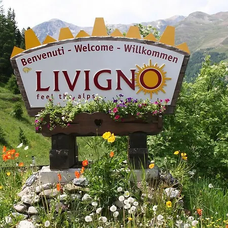 ベッド・アンド・ブレックファスト The King 3*