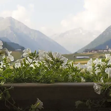 The King B&B